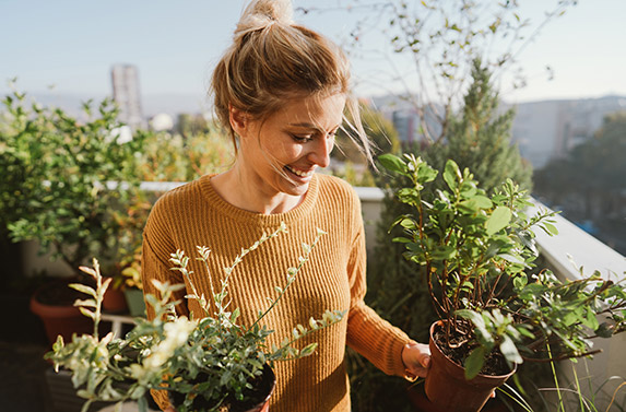 Tuin lenteklaar maken: bloemetjes planten